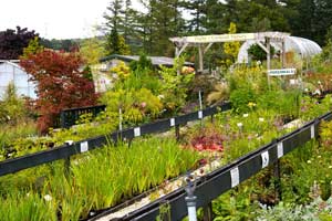 The Duchy of Cornwall Nurseries