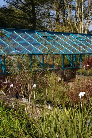 Greenhouse at Lower Kenneggy Nursery