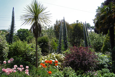 View across gardens in  Meadfoot Sea Road