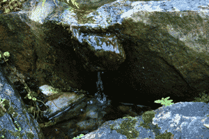 Waterfall (animation)