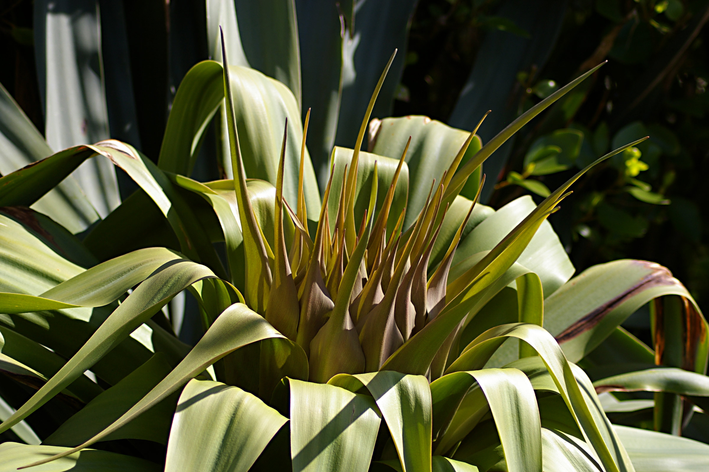 IMGP7082QT