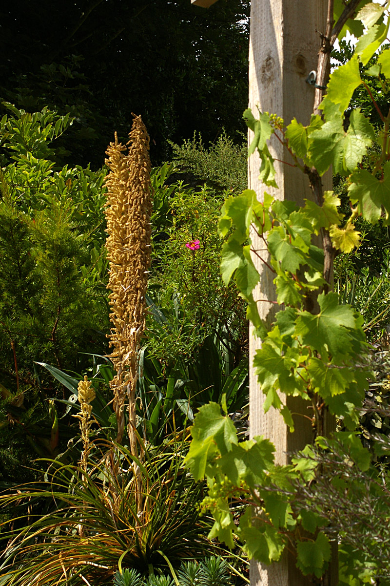 IMGP8093QT