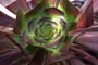 SRZ_9734QT